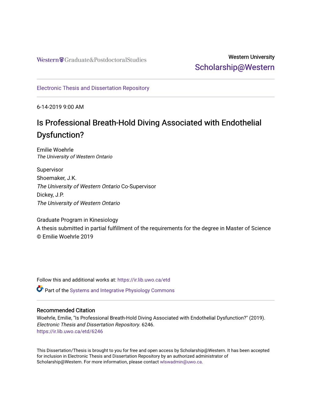 Is Professional Breath-Hold Diving Associated with Endothelial Dysfunction?