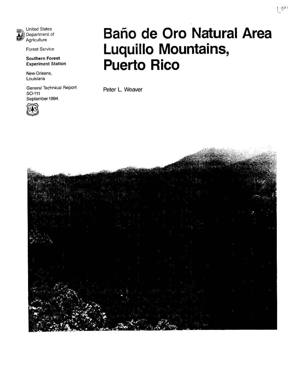 Baho De Oro Natural Area Luquillo Mountains, Puerto Rico