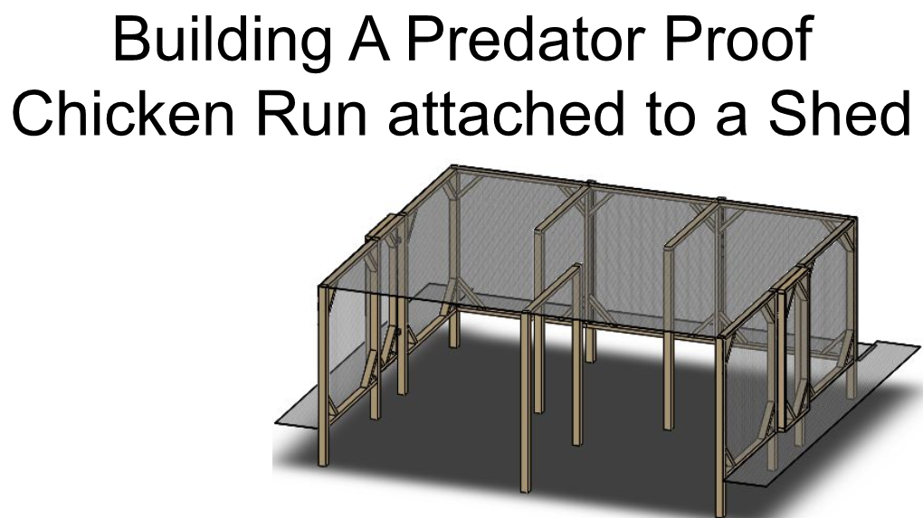 Building a Predator Proof Chicken Run Attached to a Shed Collecting the Materials