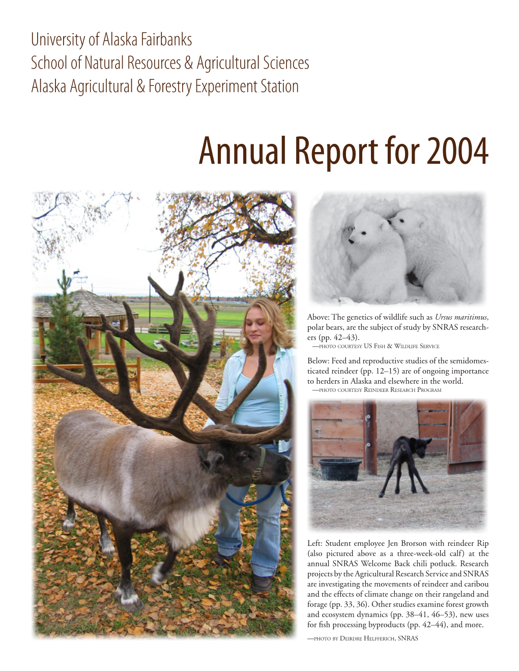 Annual Report for 2004