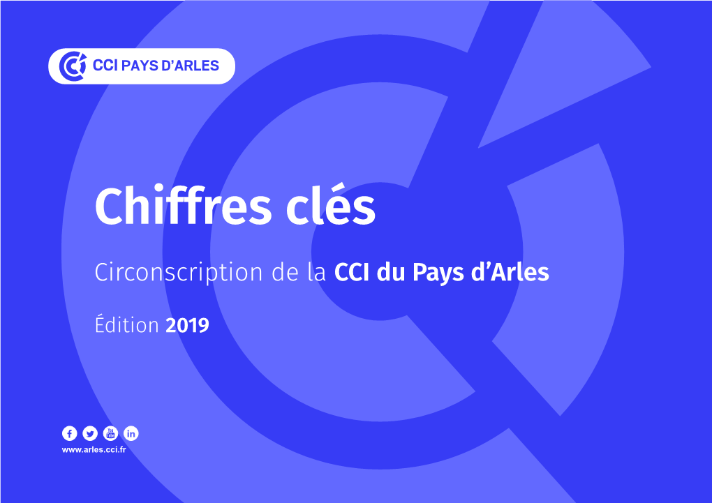 Chiffres Clés Circonscription De La CCI Du Pays D’Arles