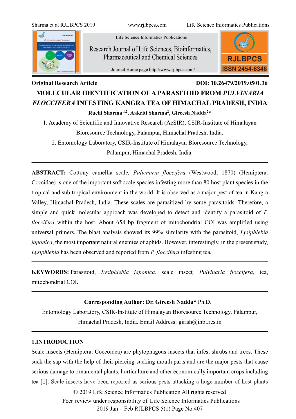 Molecular Identification of a Parasitoid from Pulvinaria Floccifera Infesting