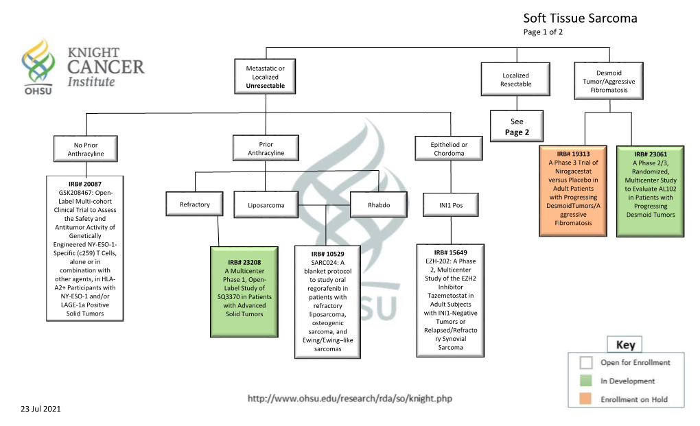 Sarcoma Soft Tissue