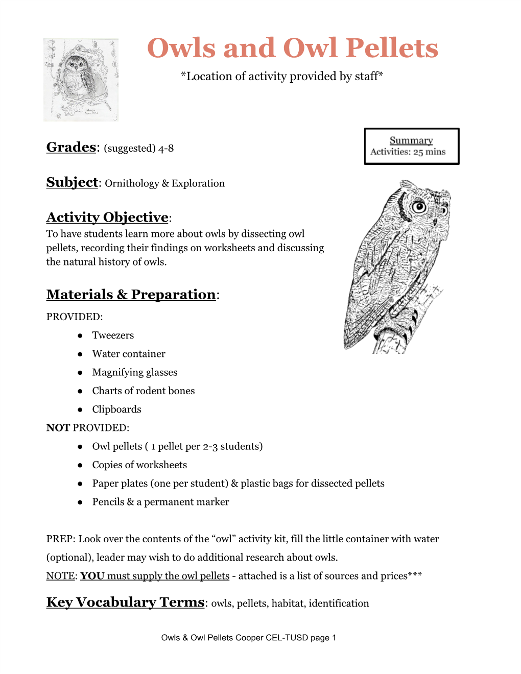 ​Owls and Owl Pellets