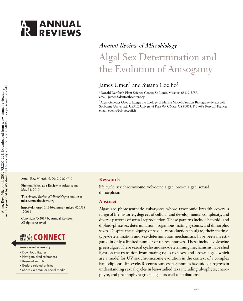 Algal Sex Determination and the Evolution of Anisogamy