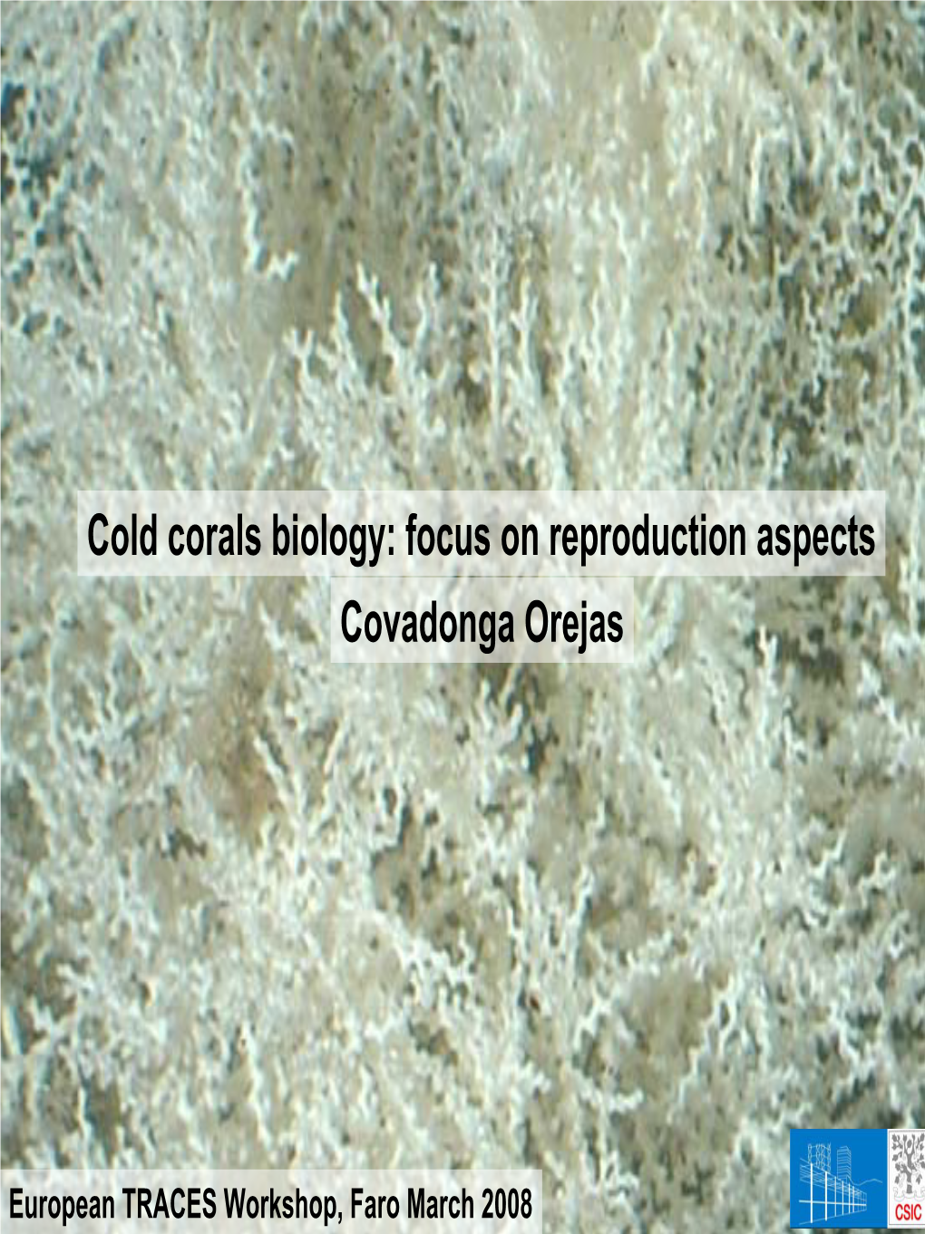 Coral Biology & Reproduction