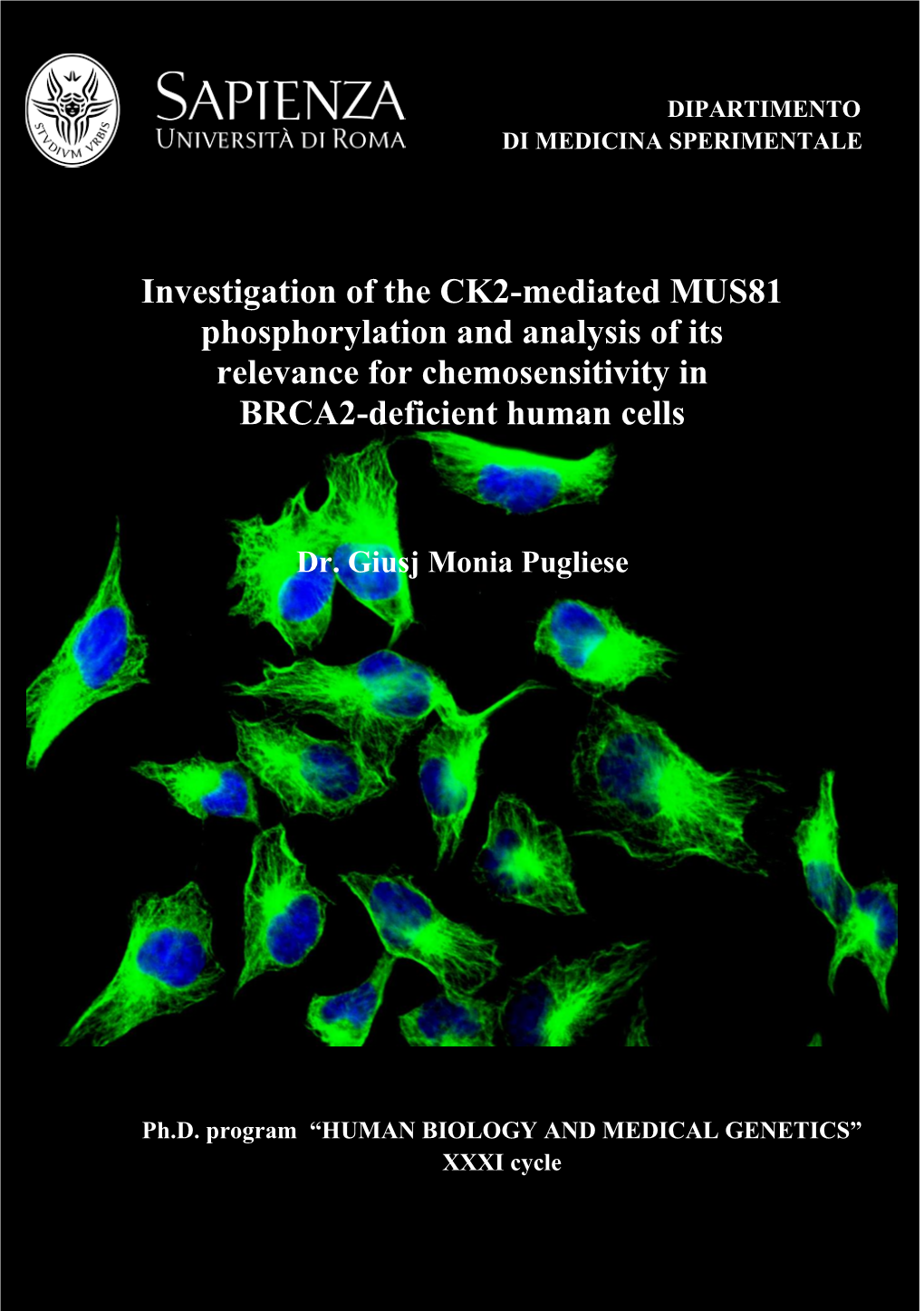 Investigation of the CK2-Mediated MUS81 Phosphorylation and Analysis of Its Relevance for Chemosensitivity in BRCA2-Deficient Human Cells