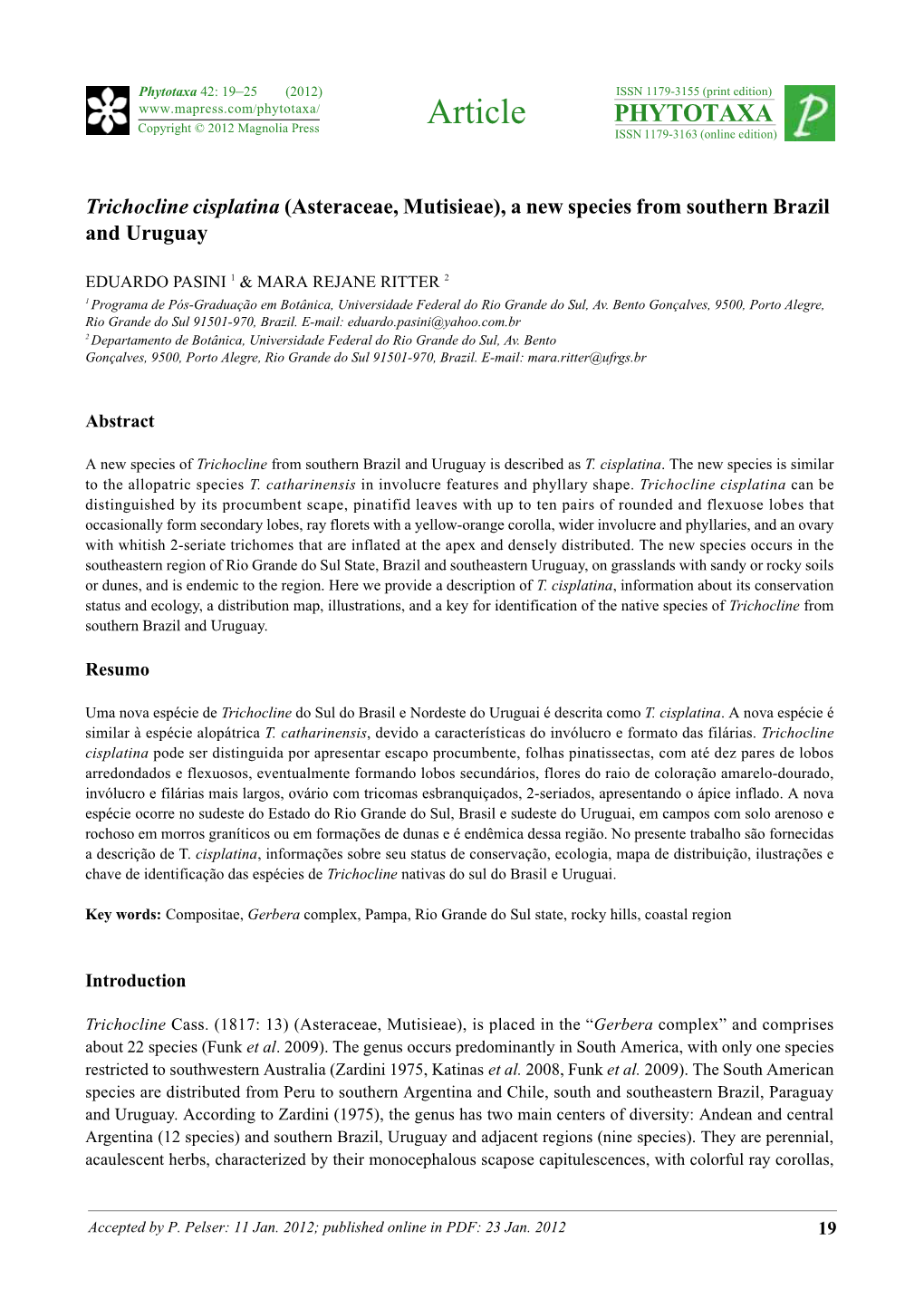 Trichocline Cisplatina (Asteraceae, Mutisieae), a New Species from Southern Brazil and Uruguay