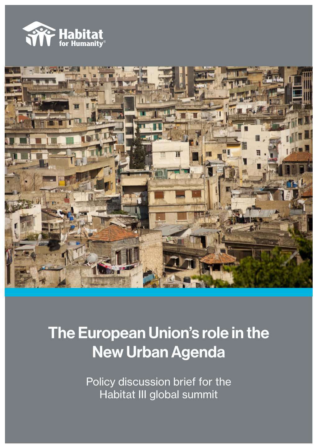 The European Union's Role in the New Urban Agenda