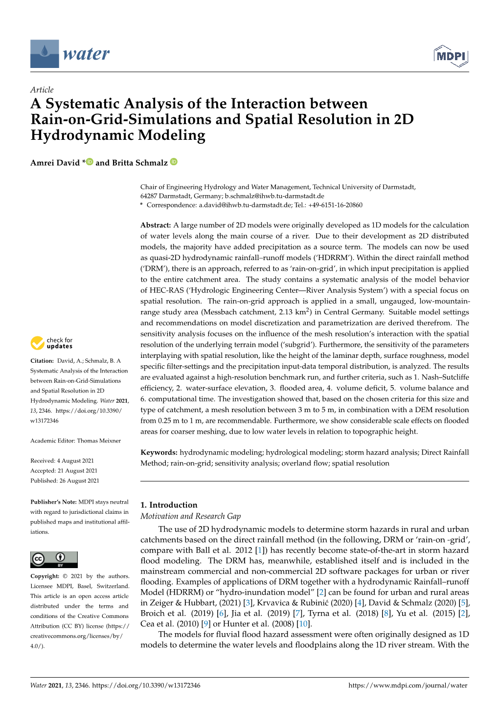 A Systematic Analysis of the Interaction Between Rain-On-Grid-Simulations and Spatial Resolution in 2D Hydrodynamic Modeling