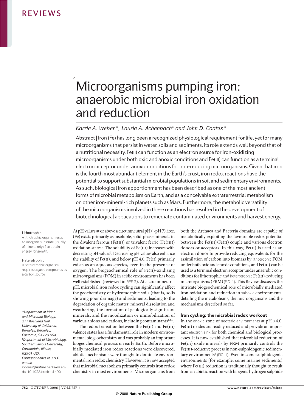 Anaerobic Microbial Iron Oxidation and Reduction