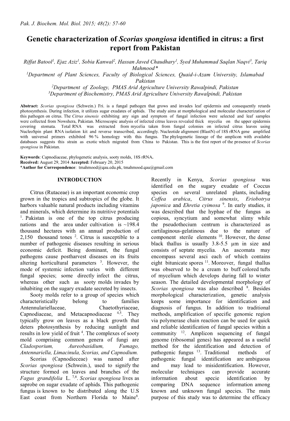 57. Genetic Characterization of Scorias Spongiosa Identified in Citrus