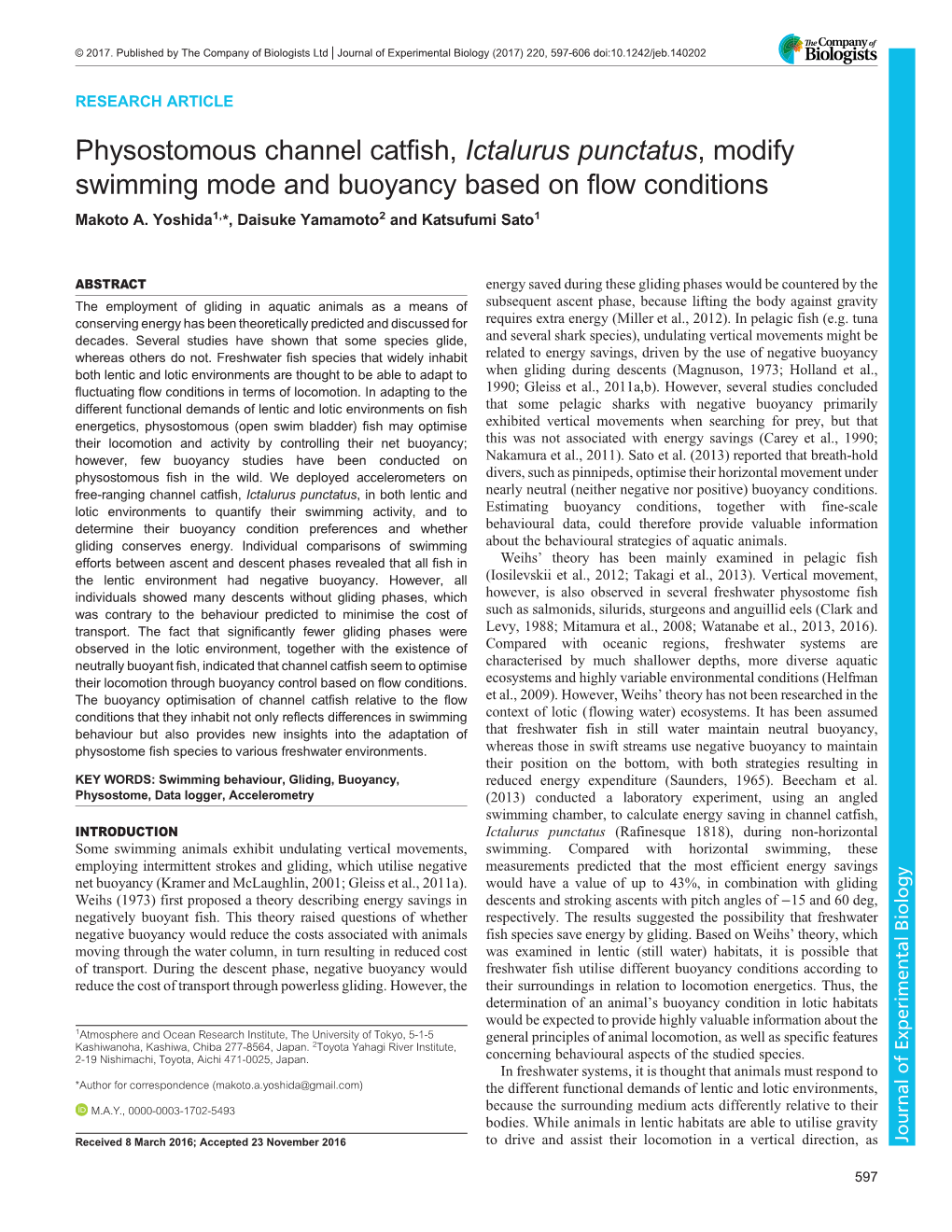 Physostomous Channel Catfish, Ictalurus Punctatus, Modify Swimming Mode and Buoyancy Based on Flow Conditions Makoto A