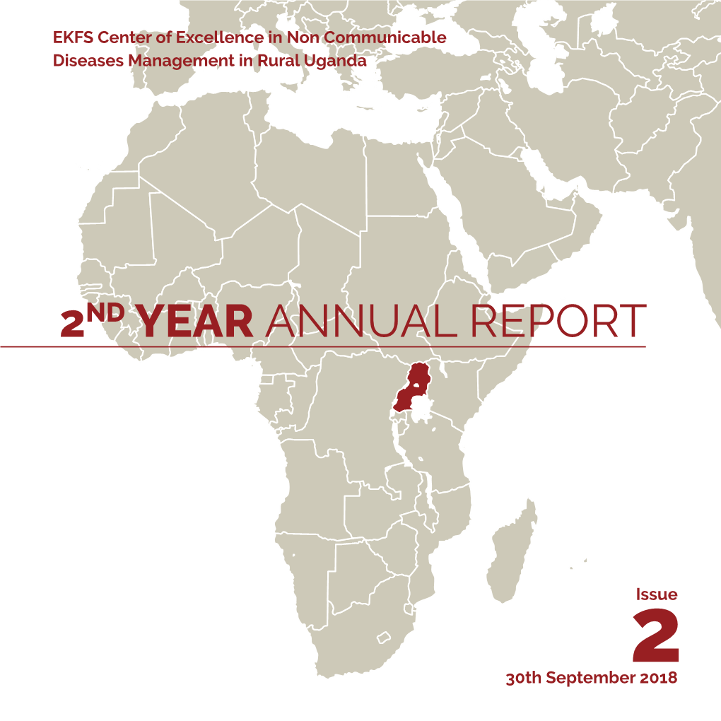 2Nd Year Annual Report