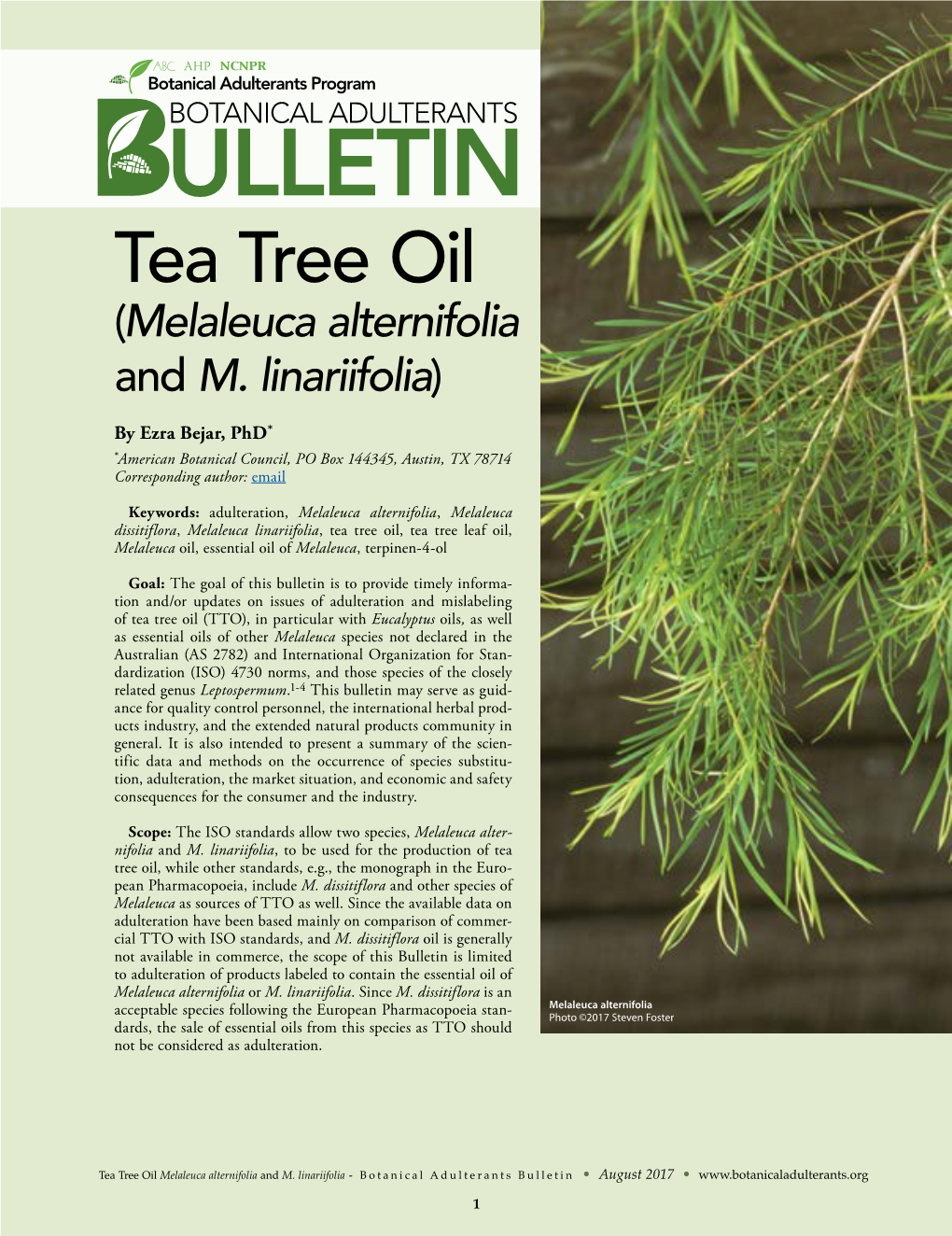 Tea Tree Oil (Melaleuca Alternifolia and M