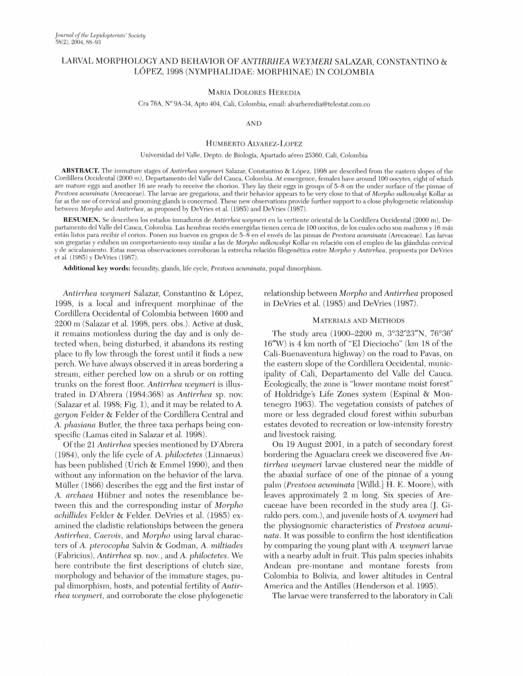 Larval Morphology and Behavior of Antirrhea Weymeri Salazar, Constantino & Lopez, 1998 (Nymphalidae: Morphinae) in Colombia