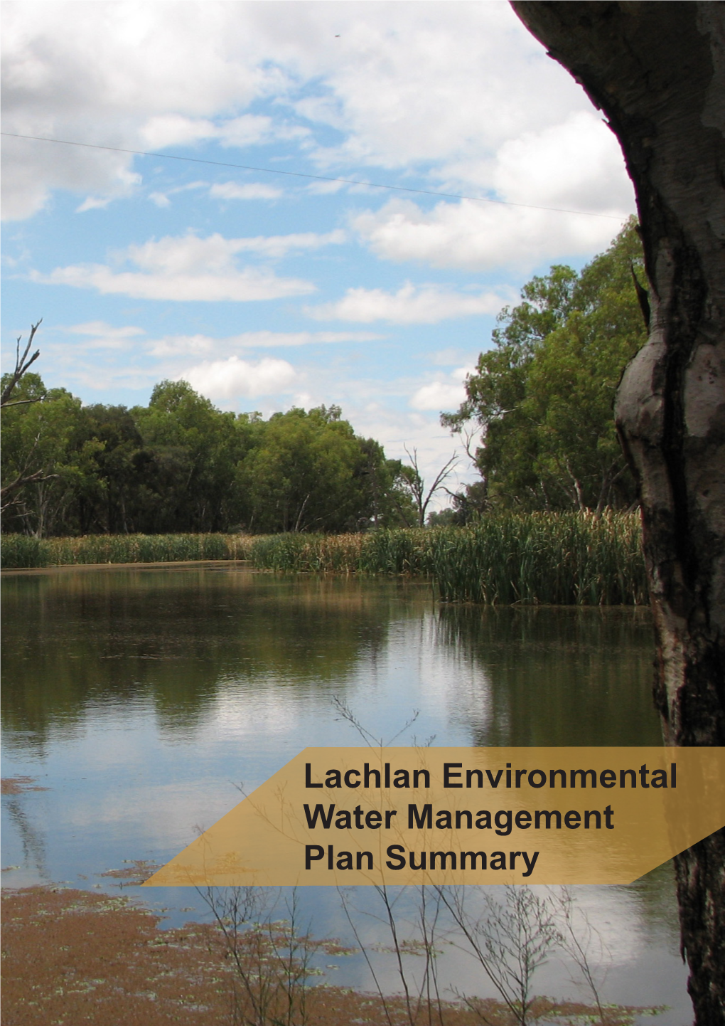 Lachlan Environmental Water Management Plan Summary