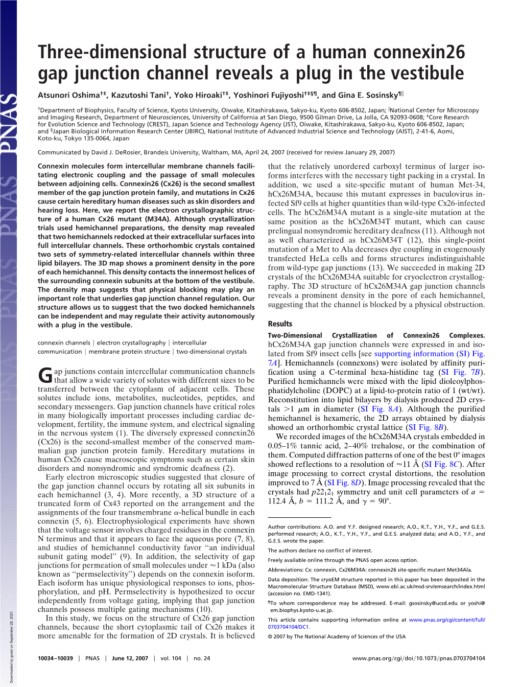 Three-Dimensional Structure of a Human Connexin26 Gap Junction Channel Reveals a Plug in the Vestibule