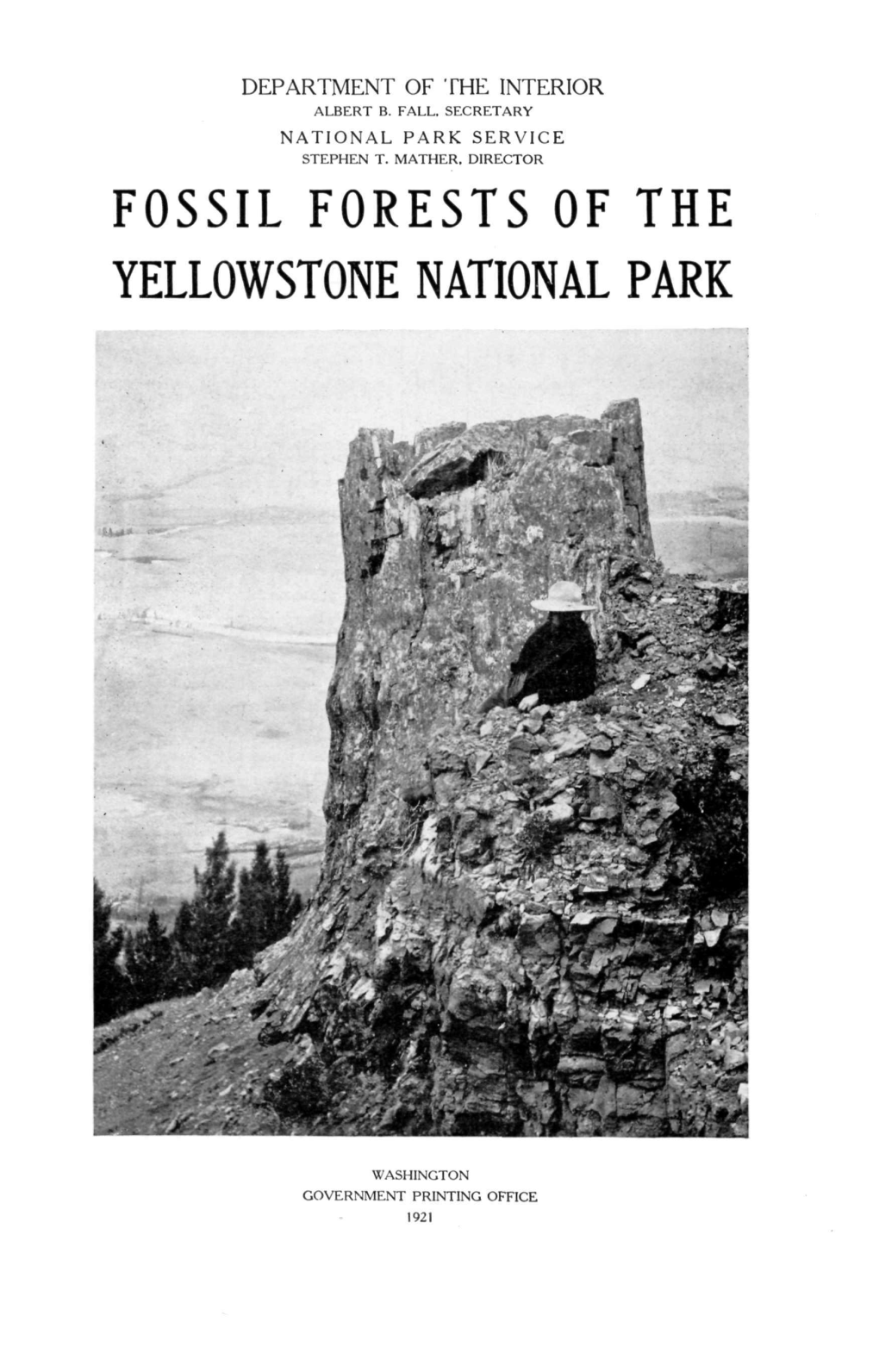 Fossil Forests of the Yellowstone National Park