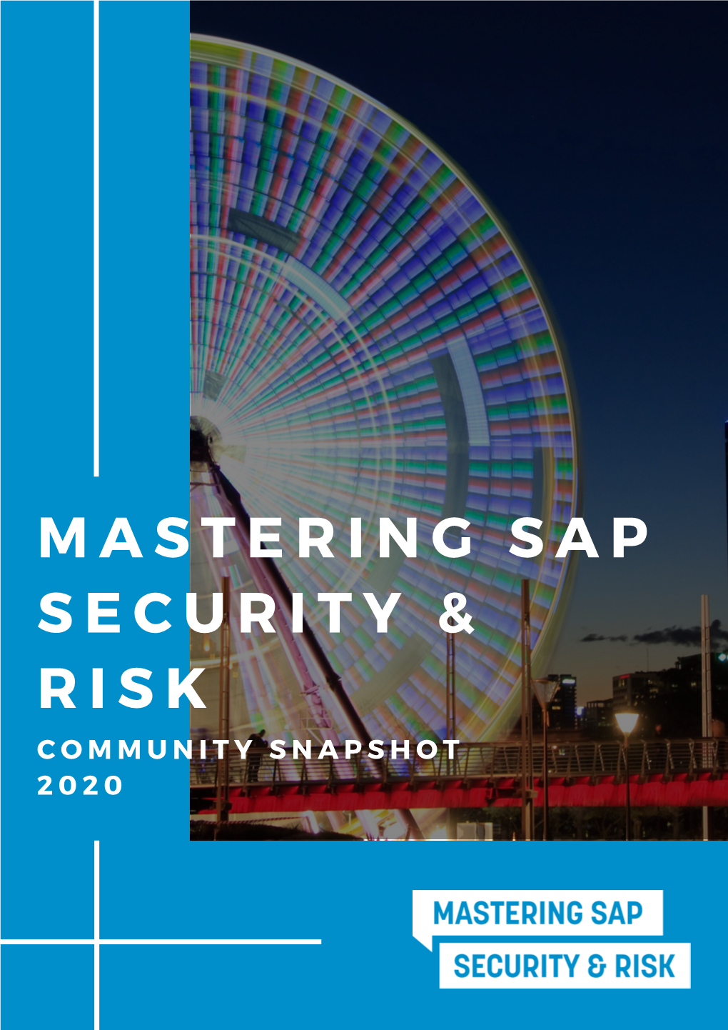 Mastering Sap Security & Risk