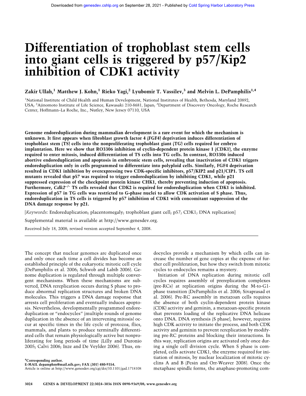 Differentiation of Trophoblast Stem Cells Into Giant Cells Is Triggered by P57/Kip2 Inhibition of CDK1 Activity