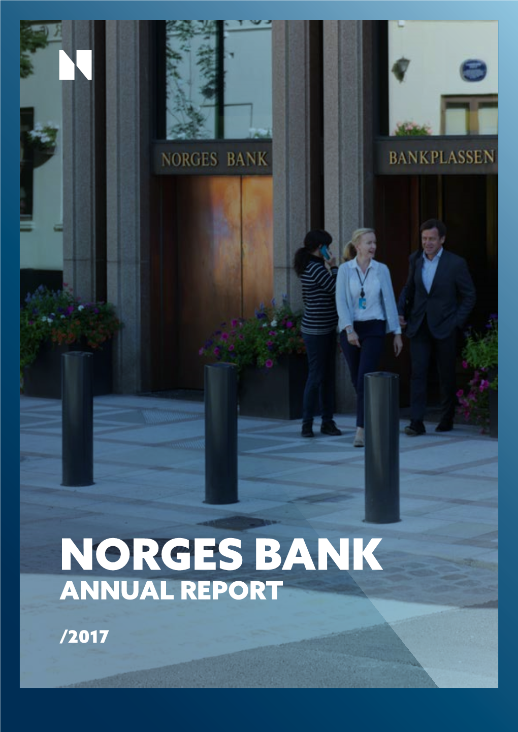 Annual Report 2017 (Pdf)