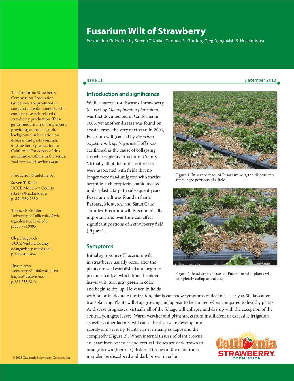 Fusarium Wilt of Strawberry Production Guideline by Steven T