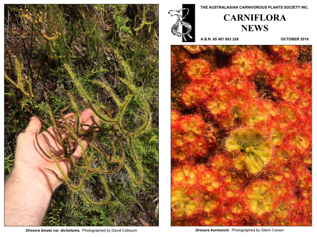 Carniflora News, October 2019 (PDF)