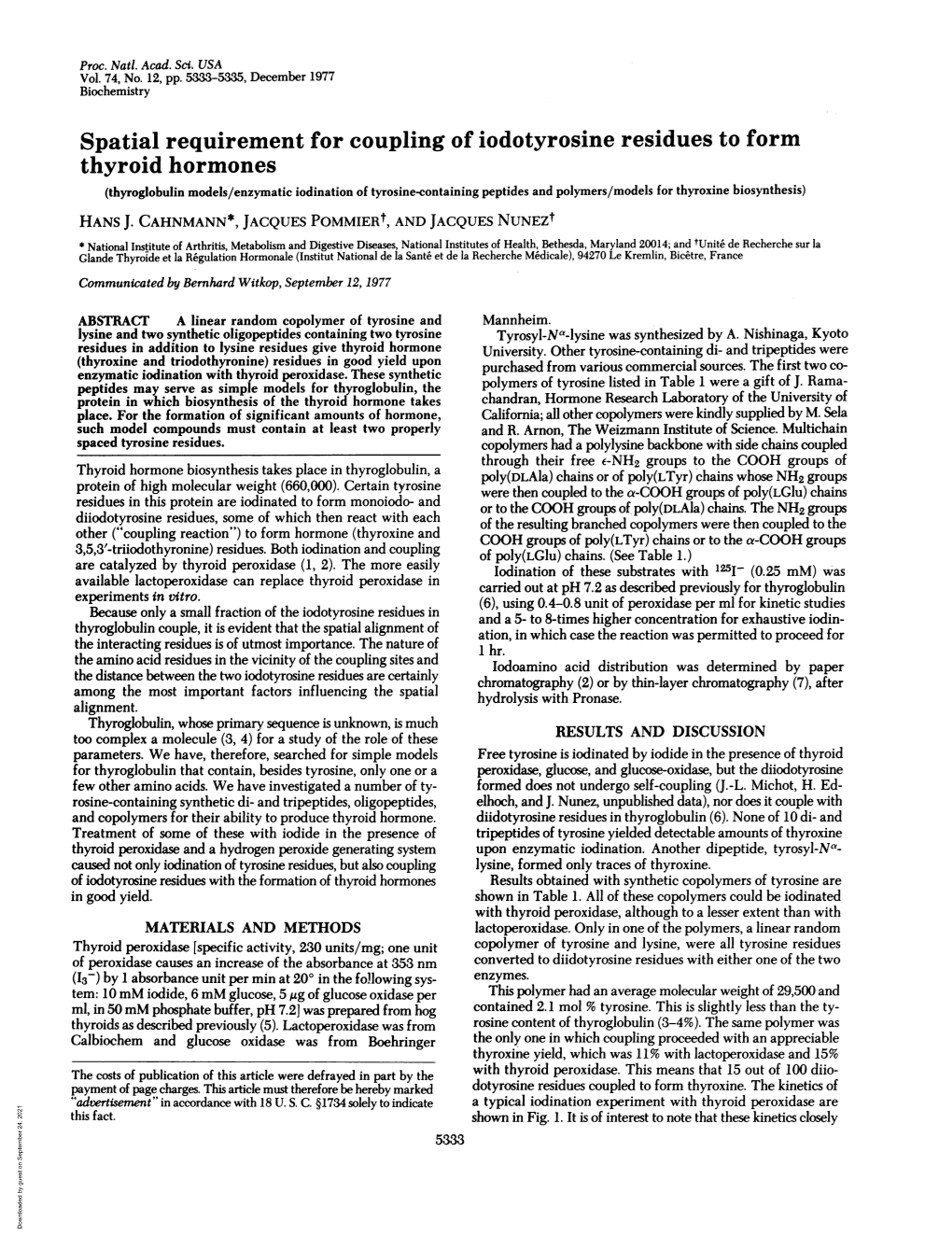 Spatial Requirement for Coupling of Iodotyrosine Residues to Form Thyroid Hormones