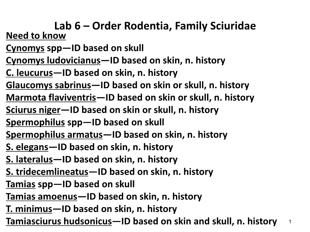 Lab 4 – Order Rodentia, Family Sciuridae