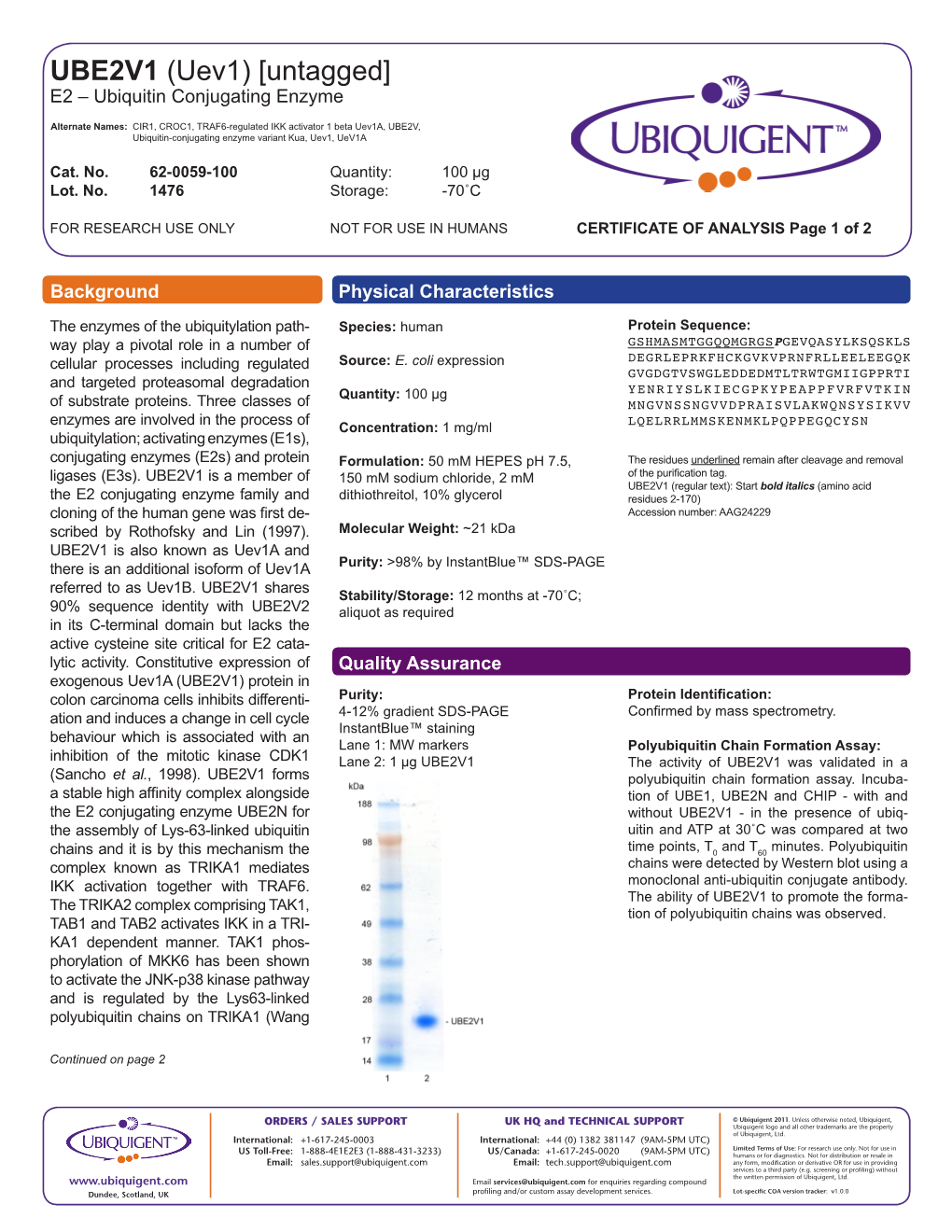 UBE2V1 (Uev1) [Untagged] E2 – Ubiquitin Conjugating Enzyme