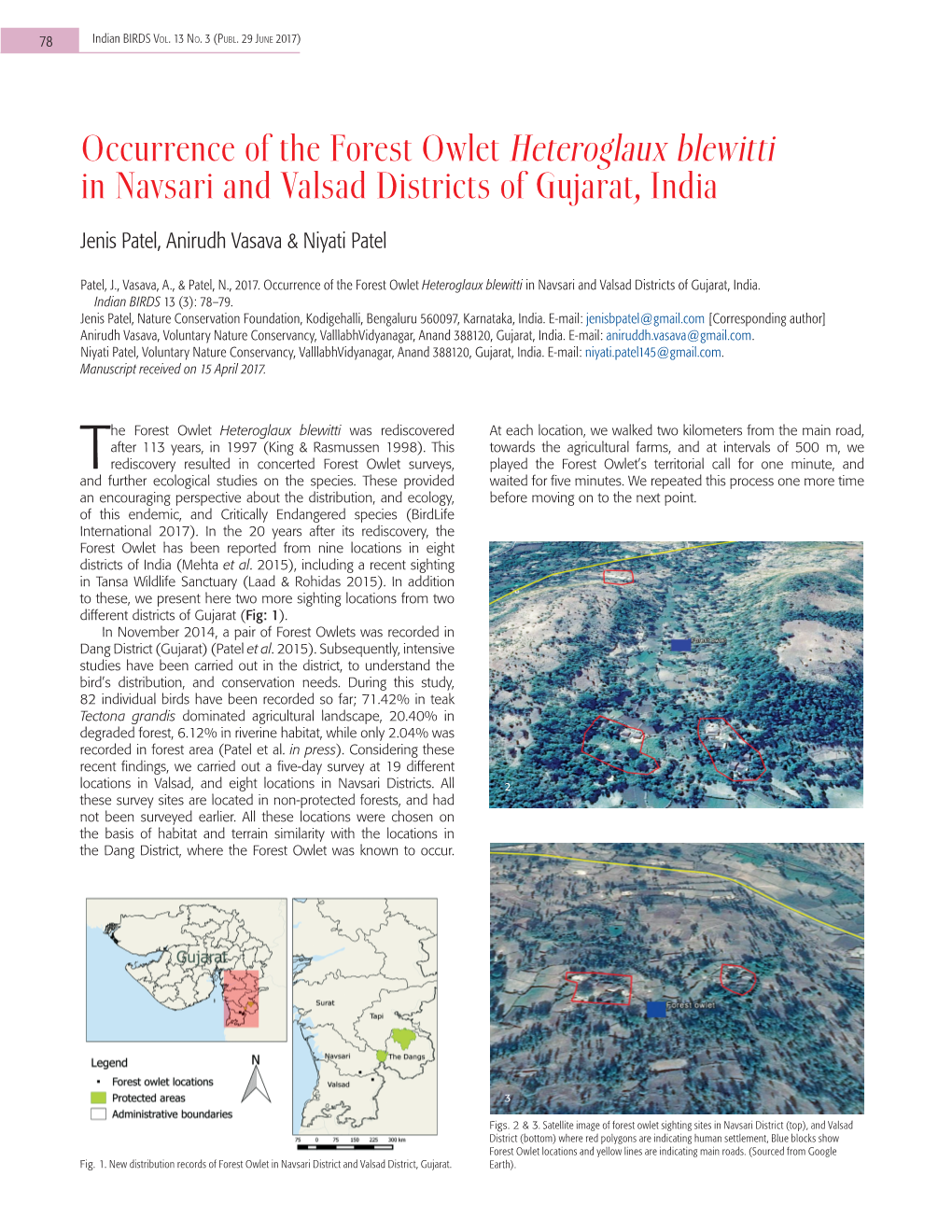 Occurrence of the Forest Owlet Heteroglaux Blewitti in Navsari and Valsad Districts of Gujarat, India