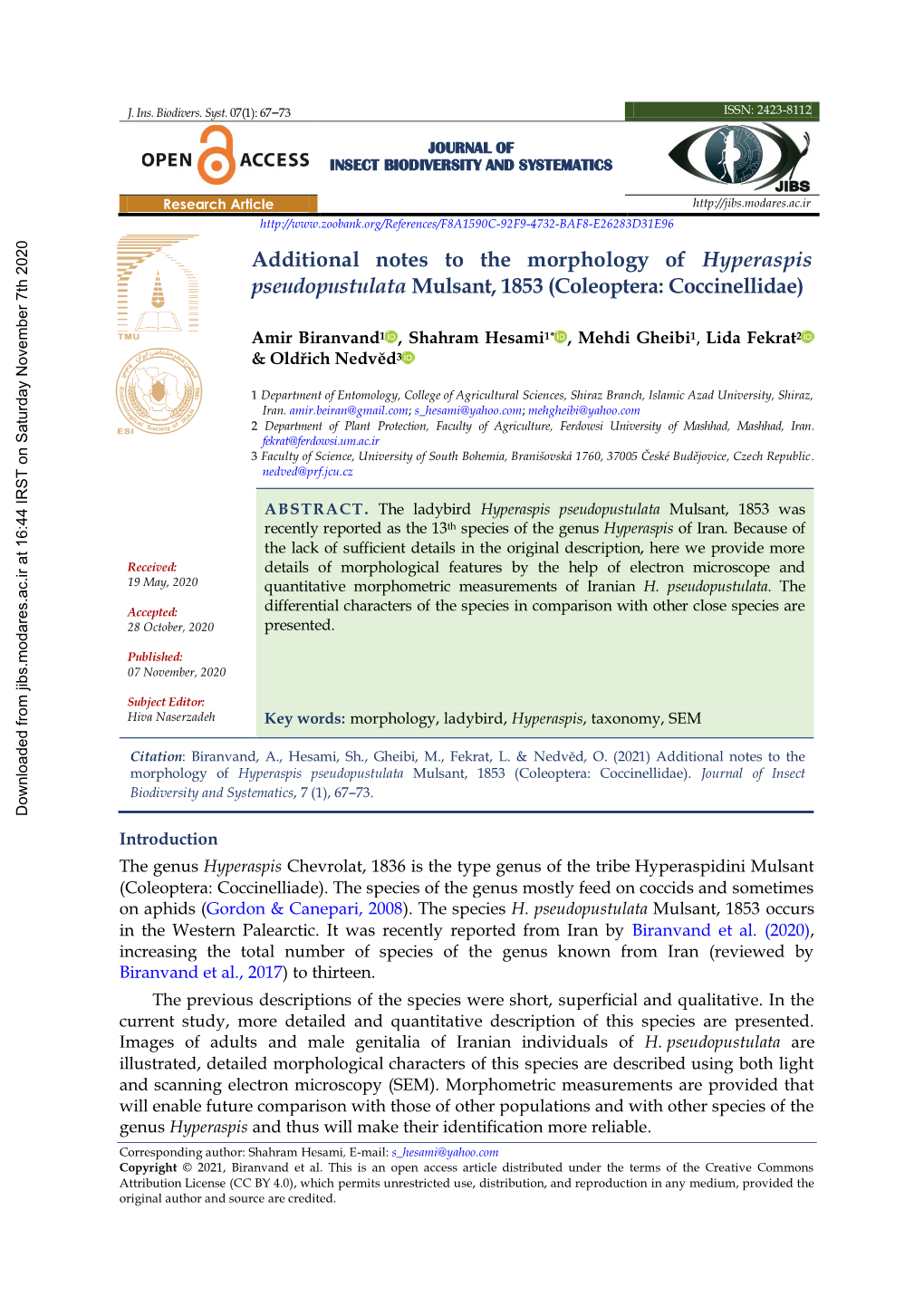 Additional Notes to the Morphology of Hyperaspis Pseudopustulata Mulsant, 1853 (Coleoptera: Coccinellidae)