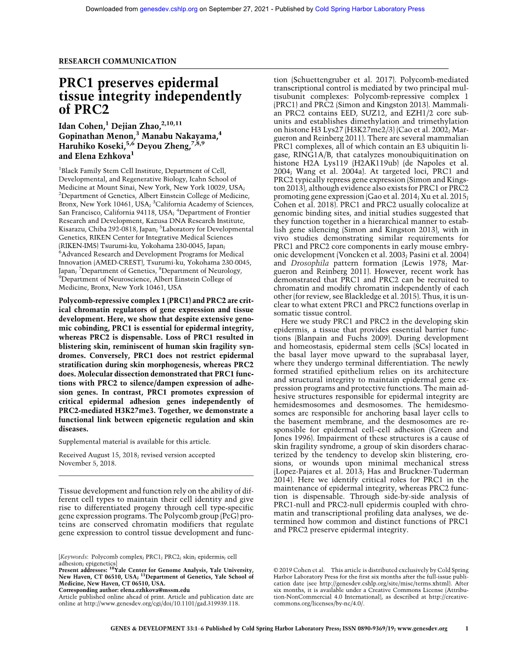 PRC1 Preserves Epidermal Tissue Integrity Independently of PRC2