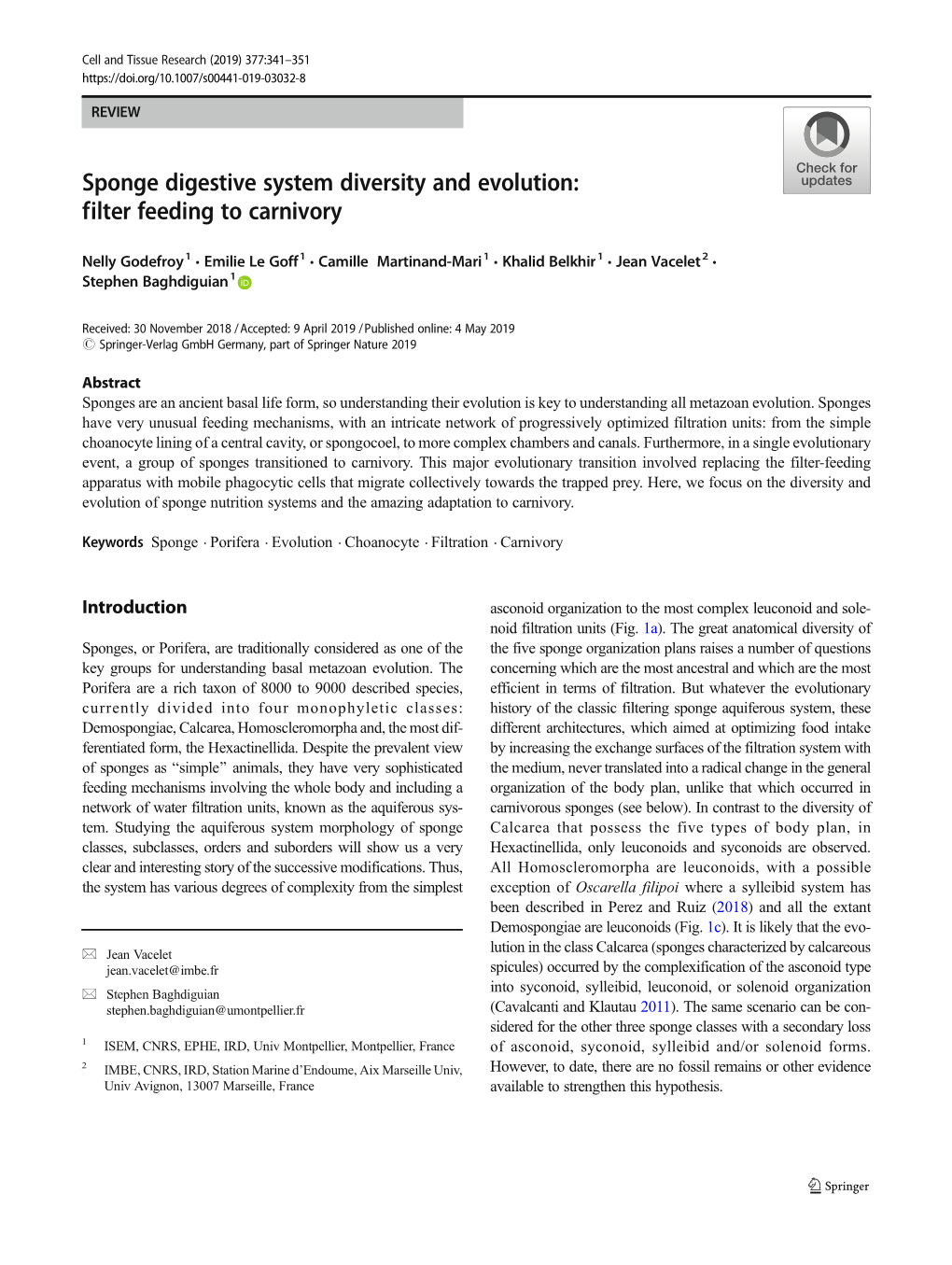 Sponge Digestive System Diversity and Evolution: Filter Feeding to Carnivory