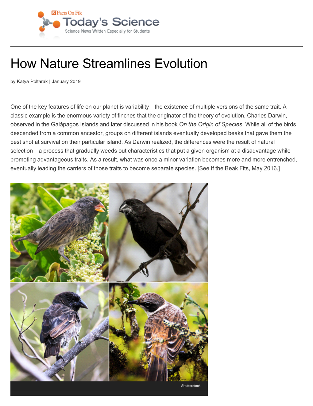 How Nature Streamlines Evolution by Katya Poltarak | January 2019