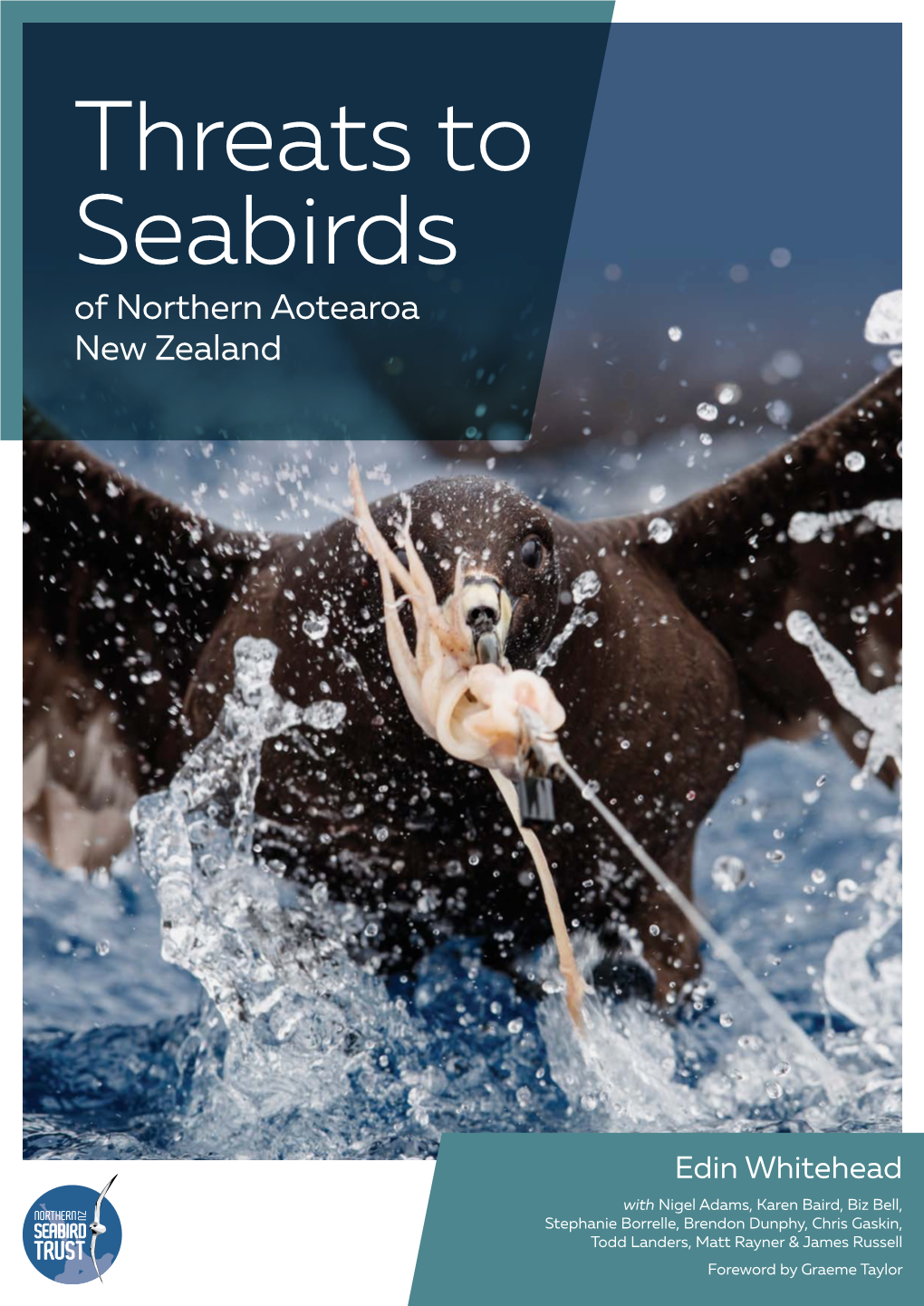 Threats to Seabirds of Northern Aotearoa New Zealand