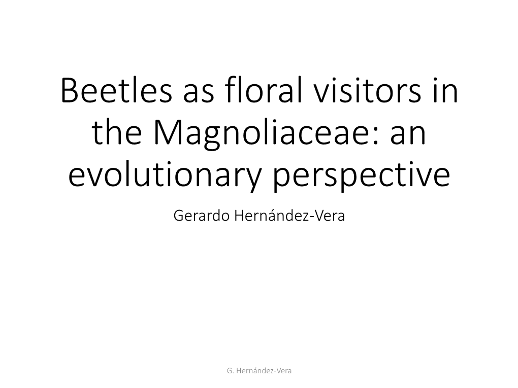 Beetles As Floral Visitors in the Magnoliaceae: an Evolutionary Perspective Gerardo Hernández-Vera