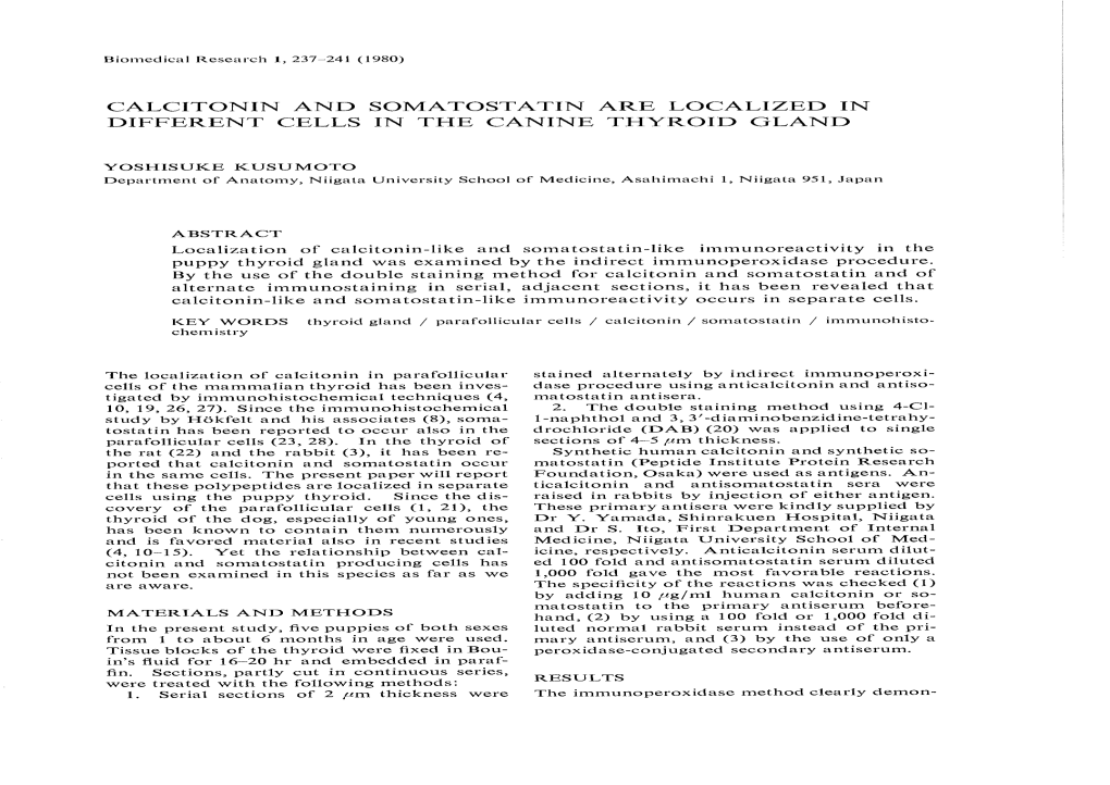 CALCITONIN and SOMATOSTATIN ARE LOCALIZED in DIFFERENT CELLS in the CANINE THYROID GLAND 1 I L