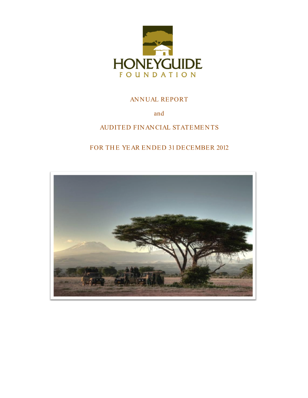 Honeyguide Foundation Audited Financial Statements 2012