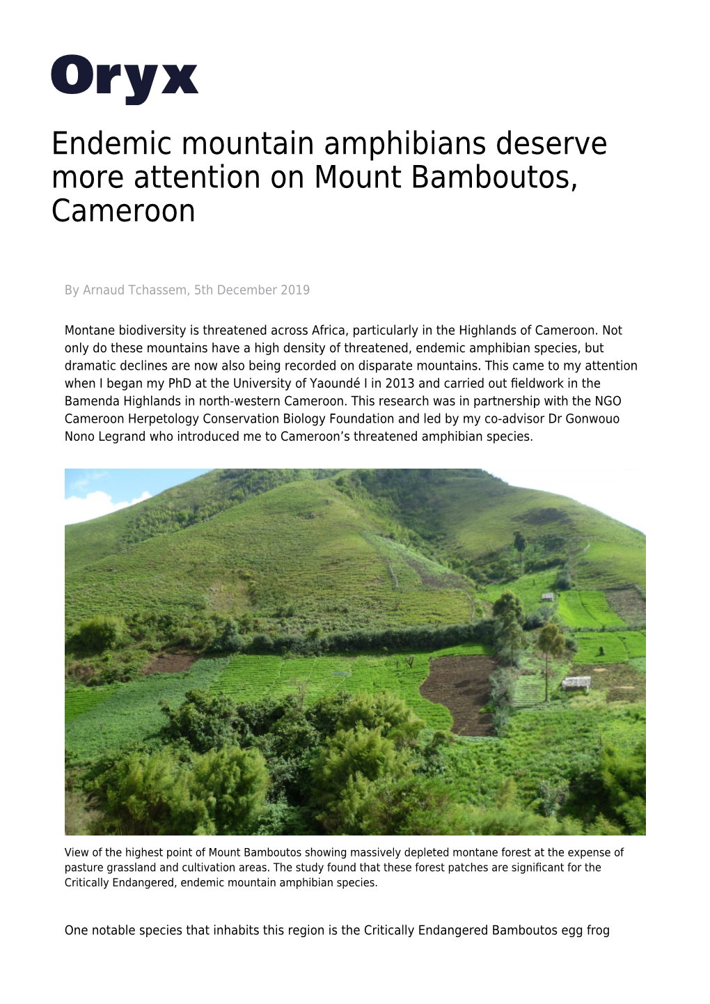 Endemic Mountain Amphibians Deserve More Attention on Mount Bamboutos, Cameroon