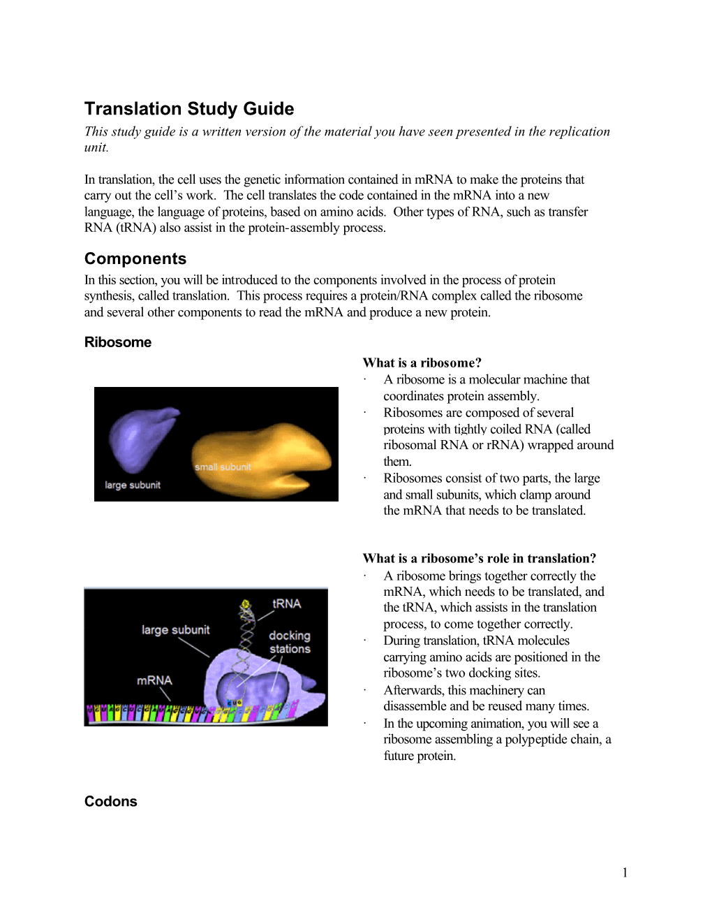 Translation Study Guide This Study Guide Is a Written Version of the Material You Have Seen Presented in the Replication Unit