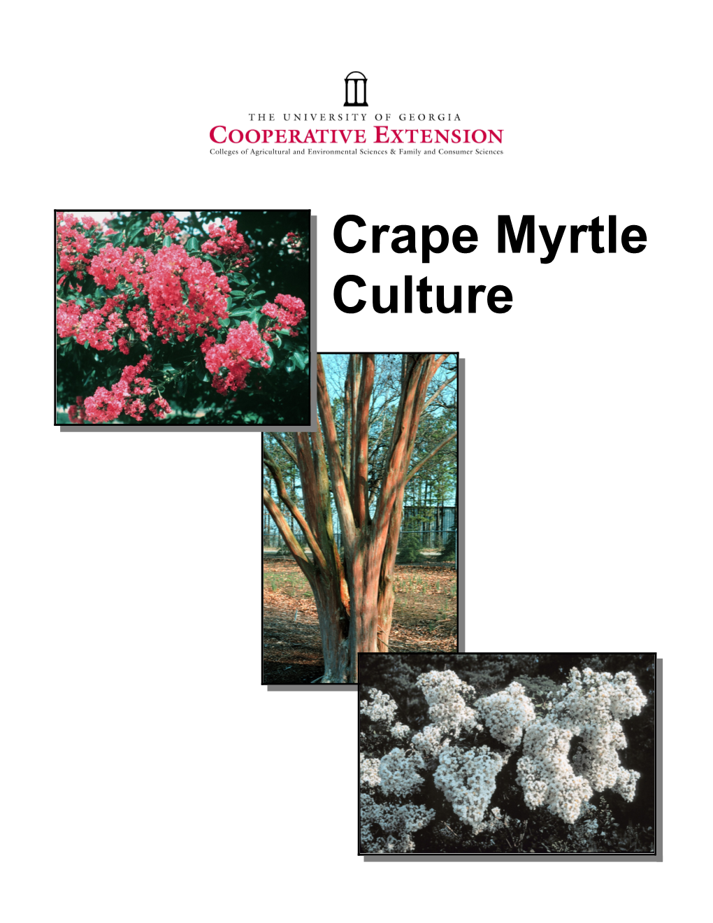 Crape Myrtle Culture Table of Contents