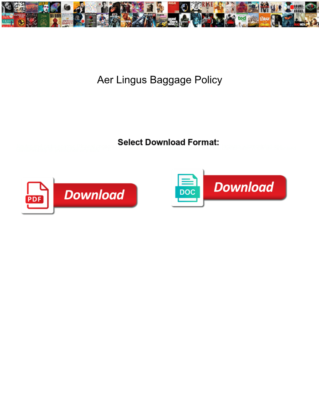 Aer Lingus Baggage Policy