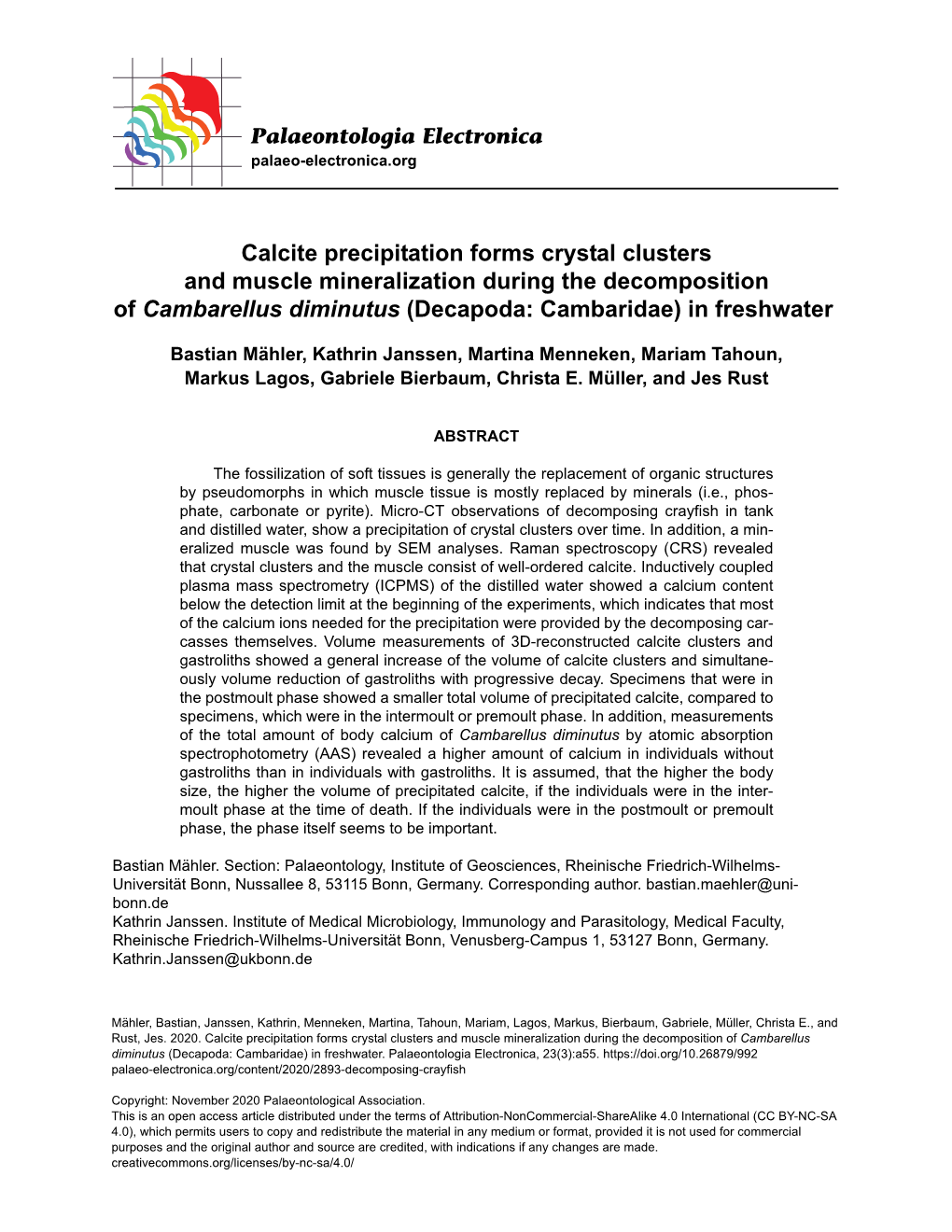 Calcite Precipitation Forms Crystal Clusters and Muscle Mineralization During the Decomposition of Cambarellus Diminutus (Decapoda: Cambaridae) in Freshwater