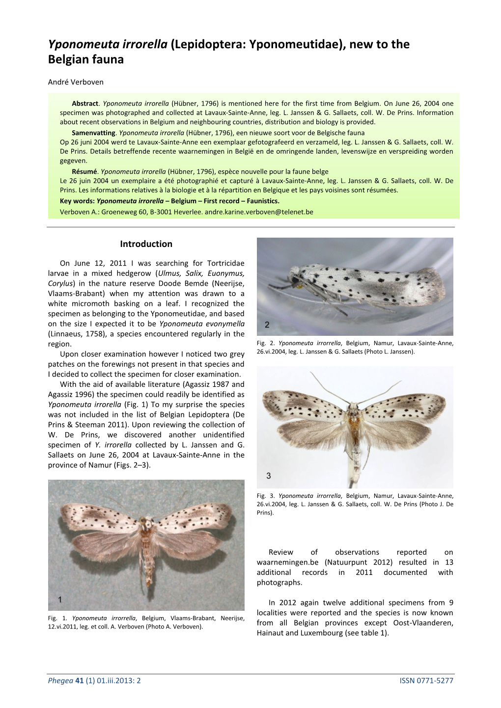 Yponomeuta Irrorella (Lepidoptera: Yponomeutidae), New to the Belgian Fauna