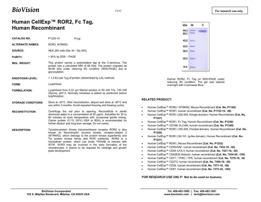 P1255-Human Cellexp™ ROR2, Fc Tag, Hu Rec