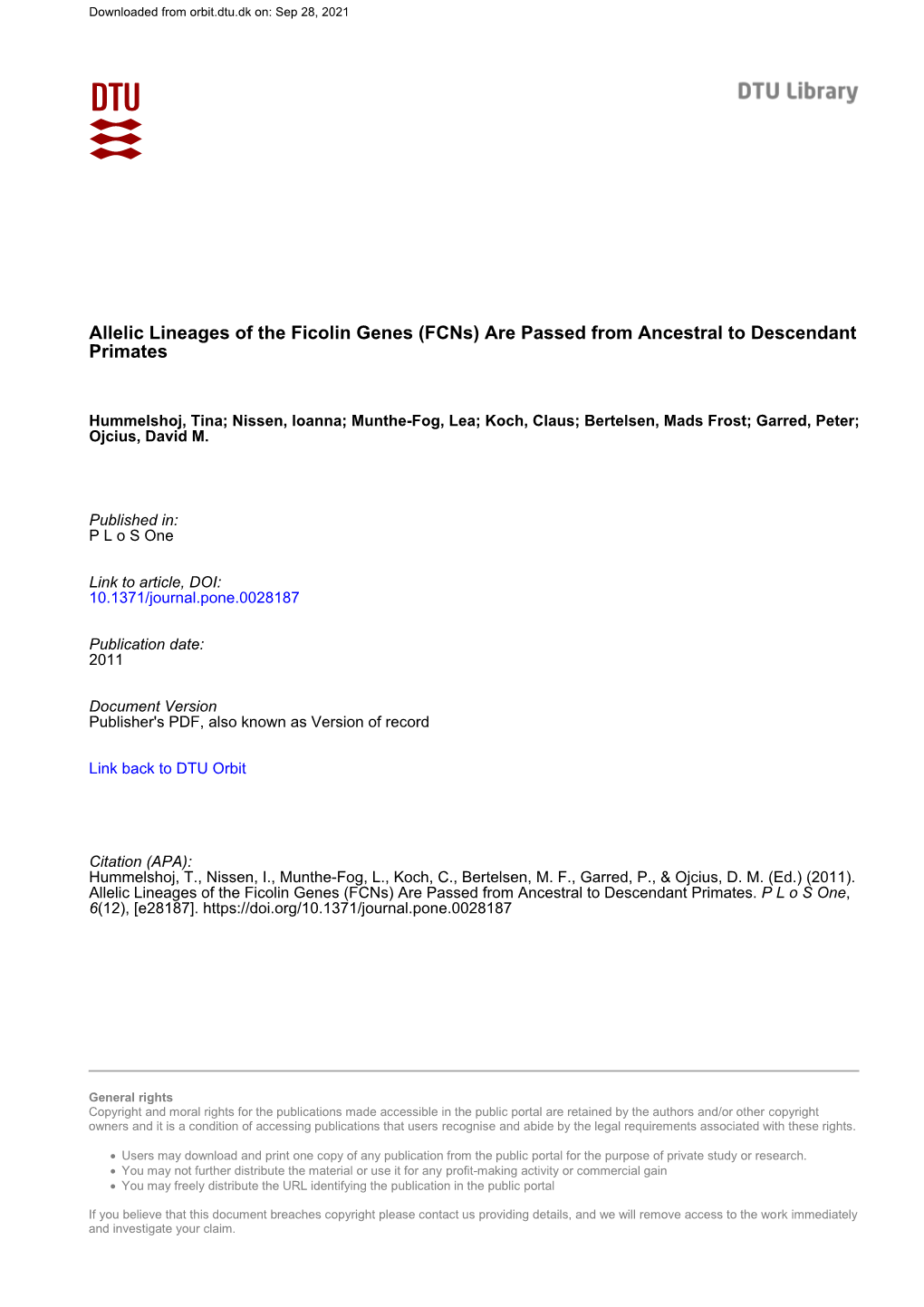 Allelic Lineages of the Ficolin Genes (Fcns) Are Passed from Ancestral to Descendant Primates