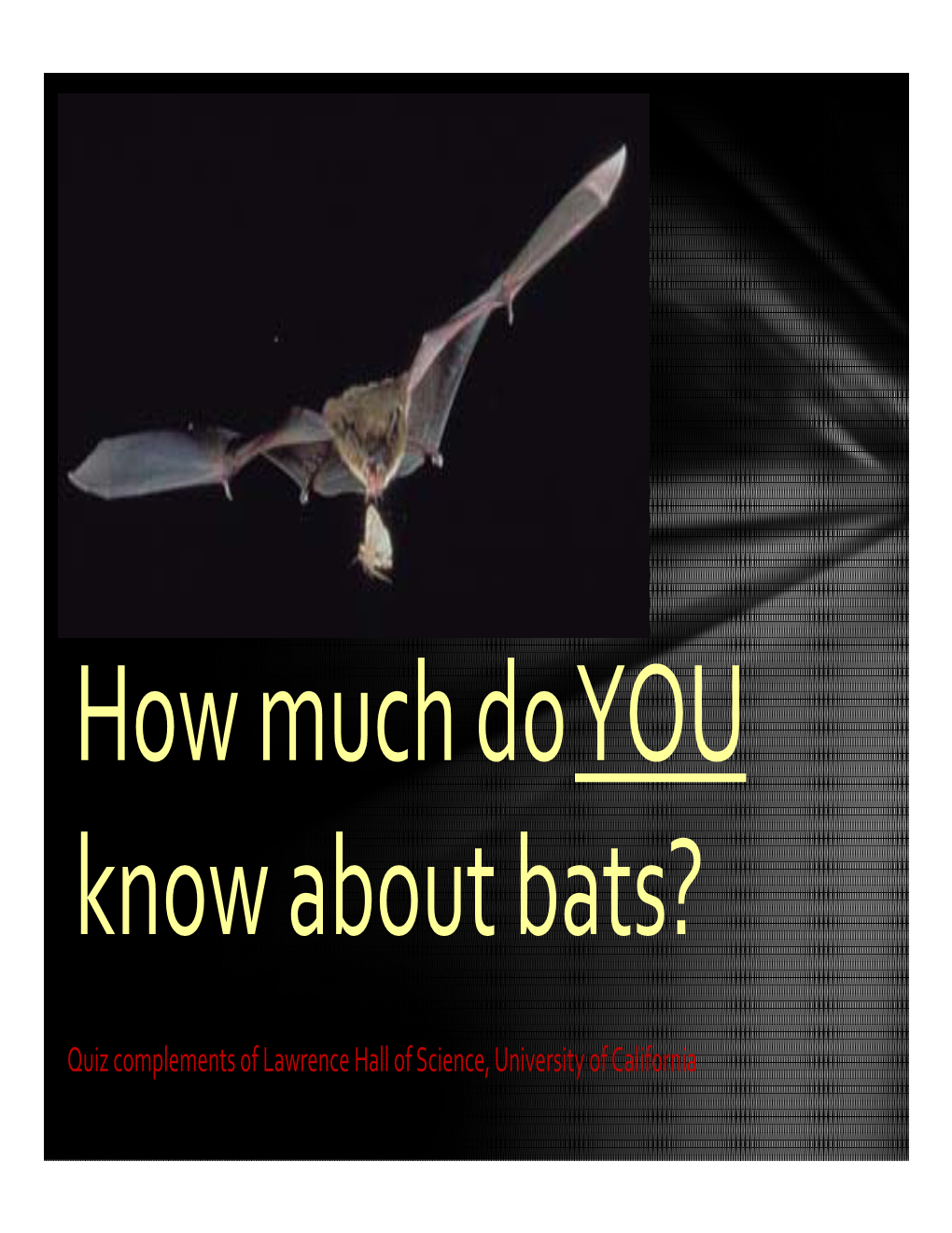 Quiz Complements of Lawrence Hall of Science, University of California Bats Really Are Blind True False