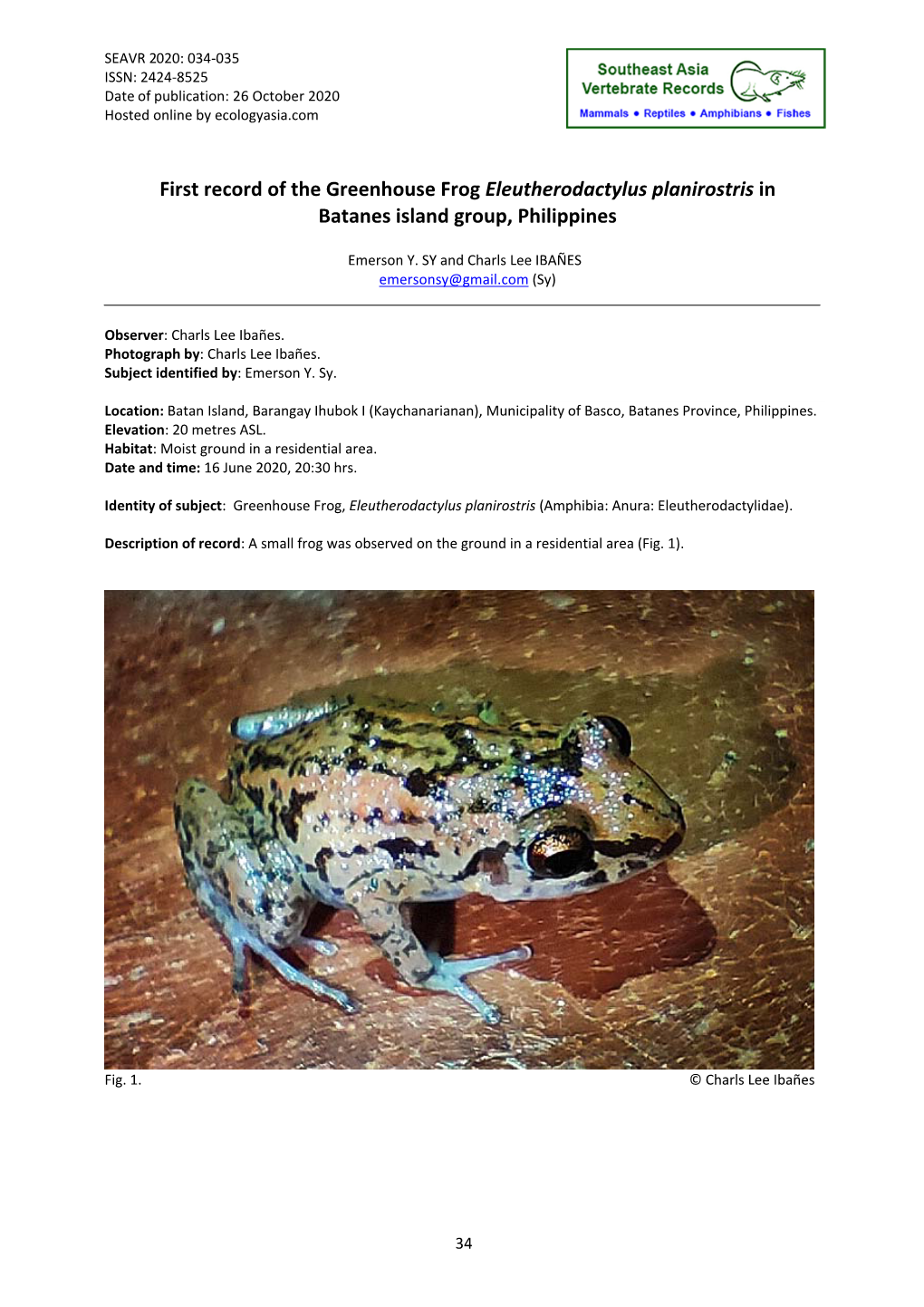 First Record of the Greenhouse Frog Eleutherodactylus Planirostris in Batanes Island Group, Philippines